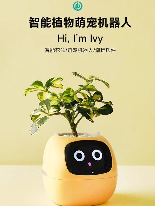 跨境智能家居种植机器人陪伴多功能植物萌宠机器人英文版礼物